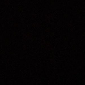 Meet your Posher, Isabella